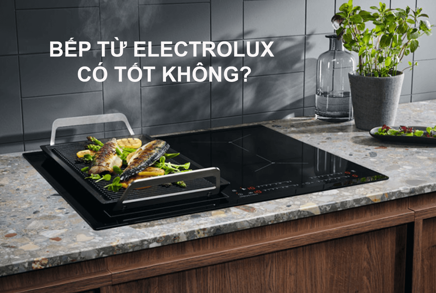 Bếp từ Electrolux có tốt không?