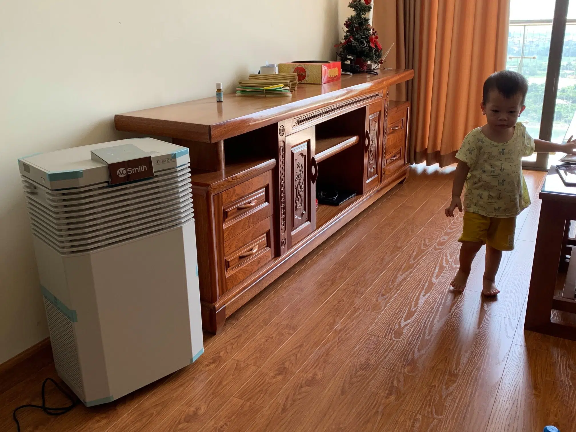 70473519 2473343356116224 8341342022346473472 o