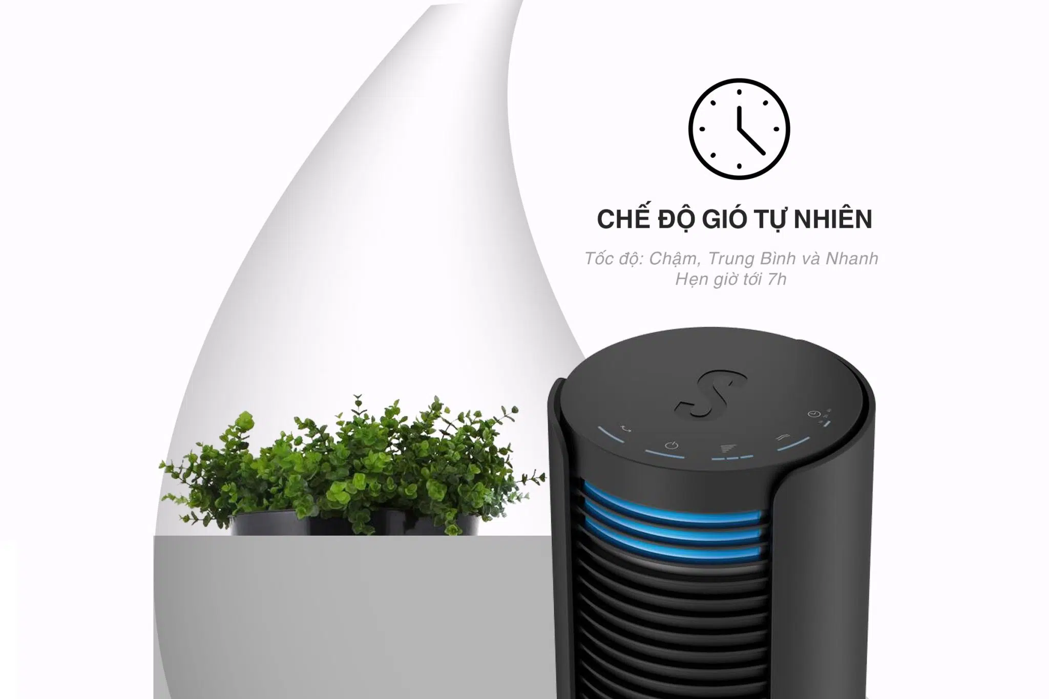 4859 quat thap stadler form pete