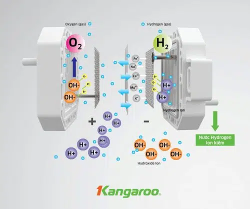May loc nuoc Kangaroo Hydrogen ion kiem KG100ES1 6