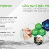 Máy lọc nước Hydrogen ion kiềm Kangaroo KG123HQ - Buys.vn Mua sắm thông minh
