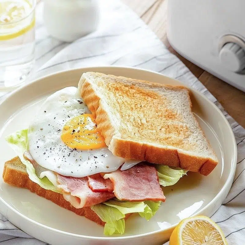 May nuong banh mi Lazychef1