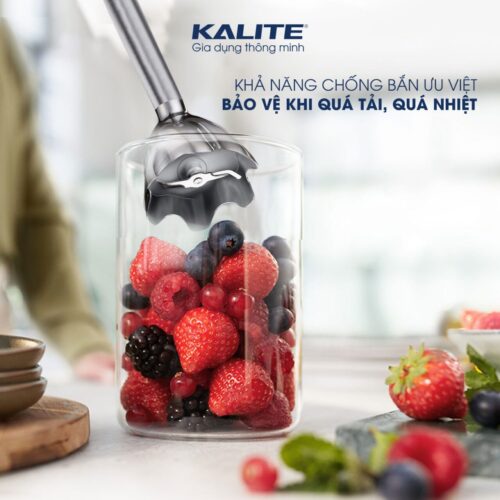 Máy xay cầm tay Kalite KEB4111