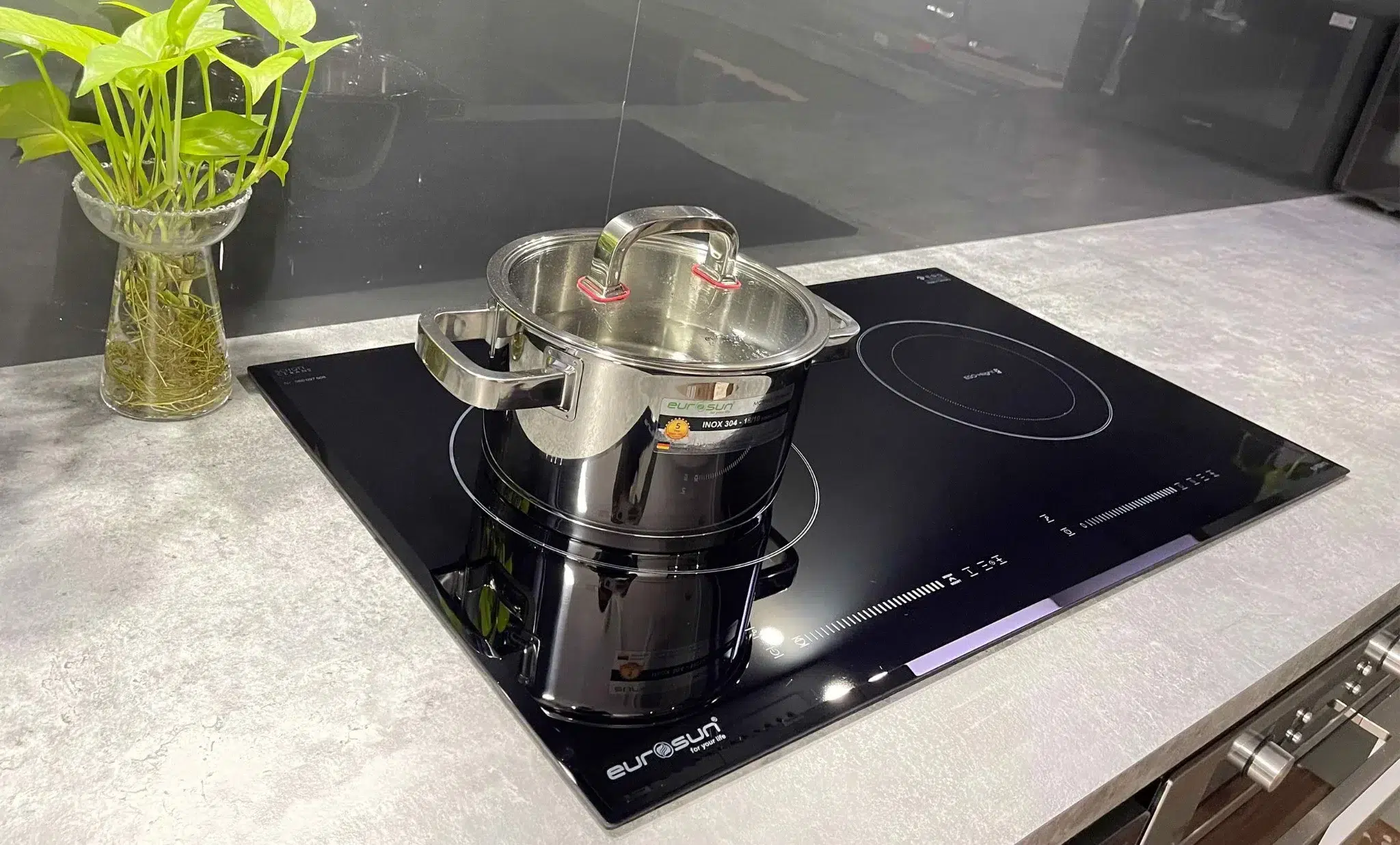 Bếp điện từ Eurosun EU-TE887G