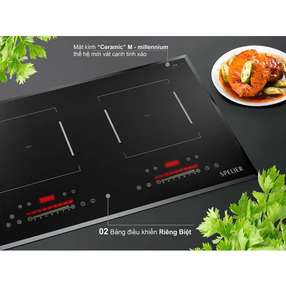 Bep tu doi Spelier SPM 828I Plus DIEN MAY BUYS 4