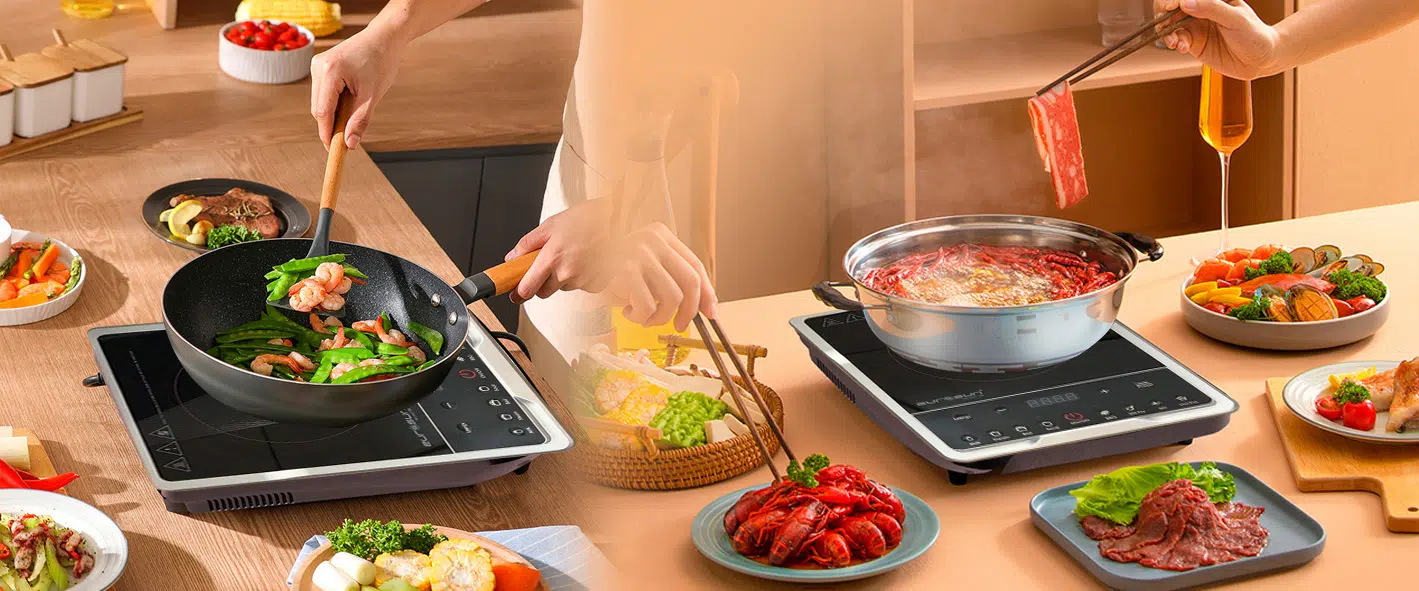 Bếp từ đơn Eurosun EU-T185S