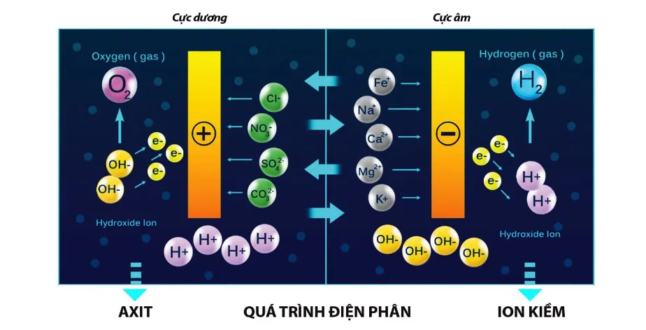 Máy lọc nước ion kiềm Trim ion Grace