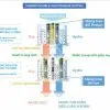 Máy lọc nước ion kiềm Trim ion Grace