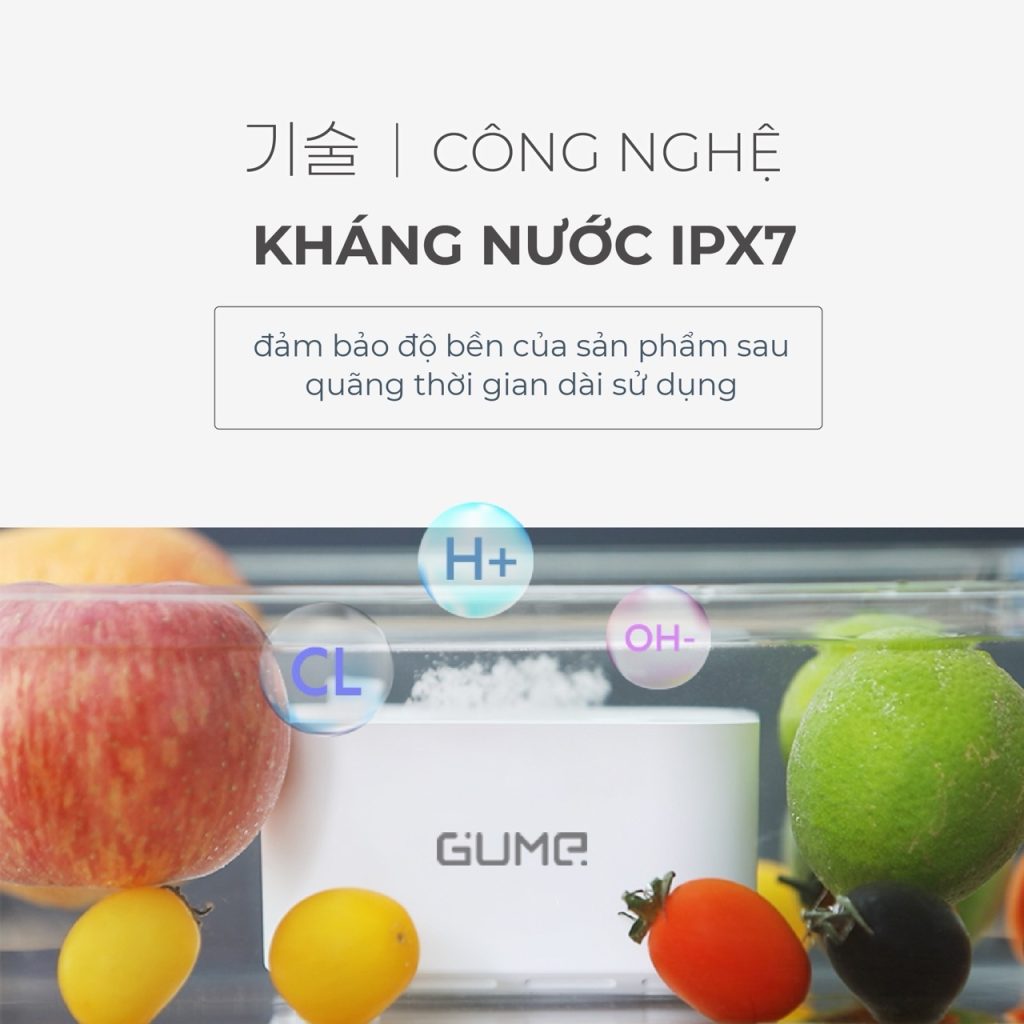 MÁY KHỬ KHUẨN THỰC PHẨM GUME OWM-làm sạch mọi loại thực phẩm 