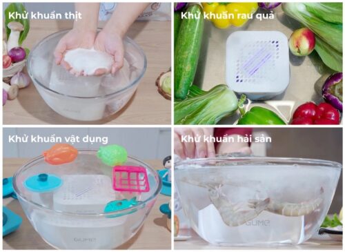 MÁY KHỬ KHUẨN THỰC PHẨM GUME OWM-làm sạch mọi loại thực phẩm