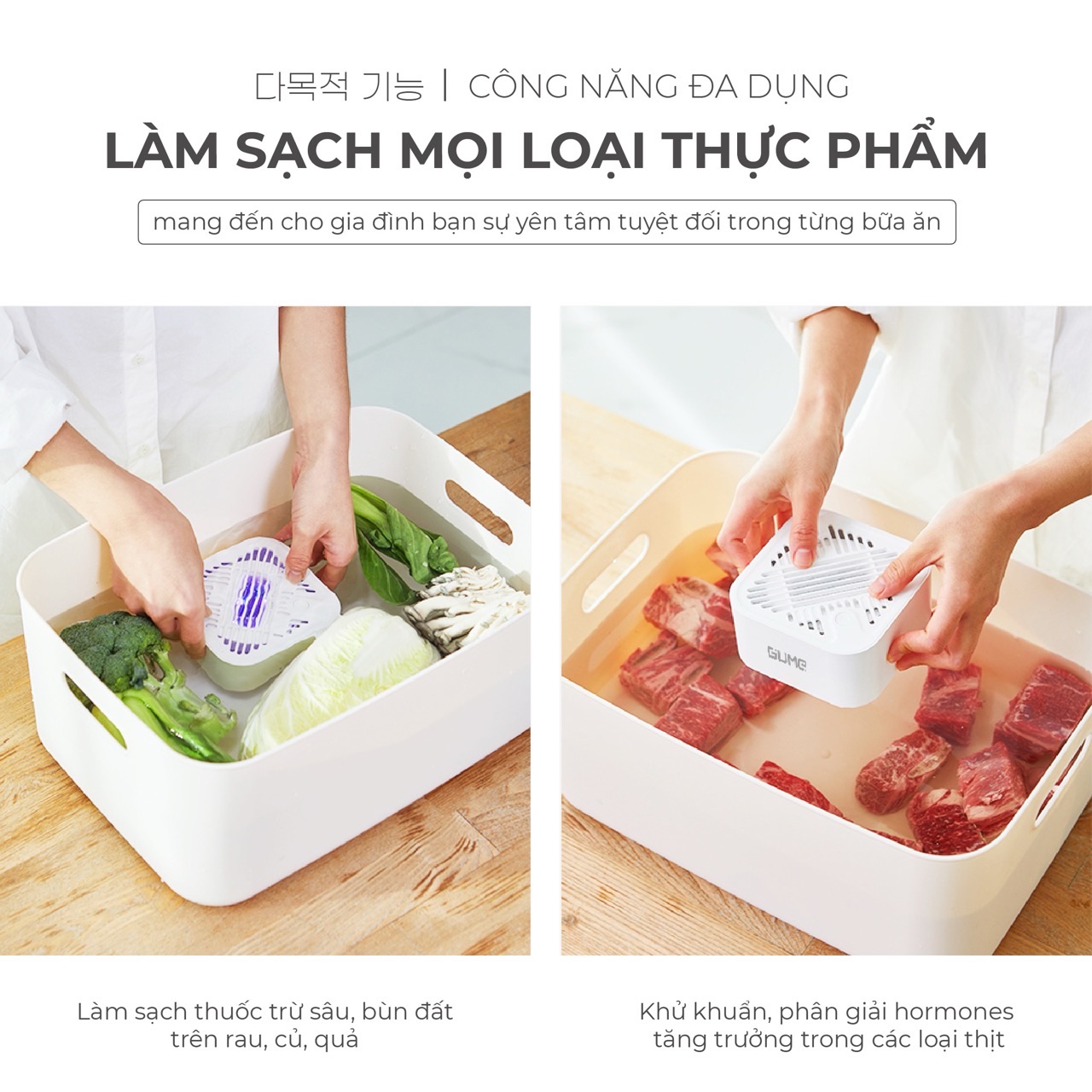 MÁY KHỬ KHUẨN THỰC PHẨM GUME OWM-làm sạch mọi loại thực phẩm