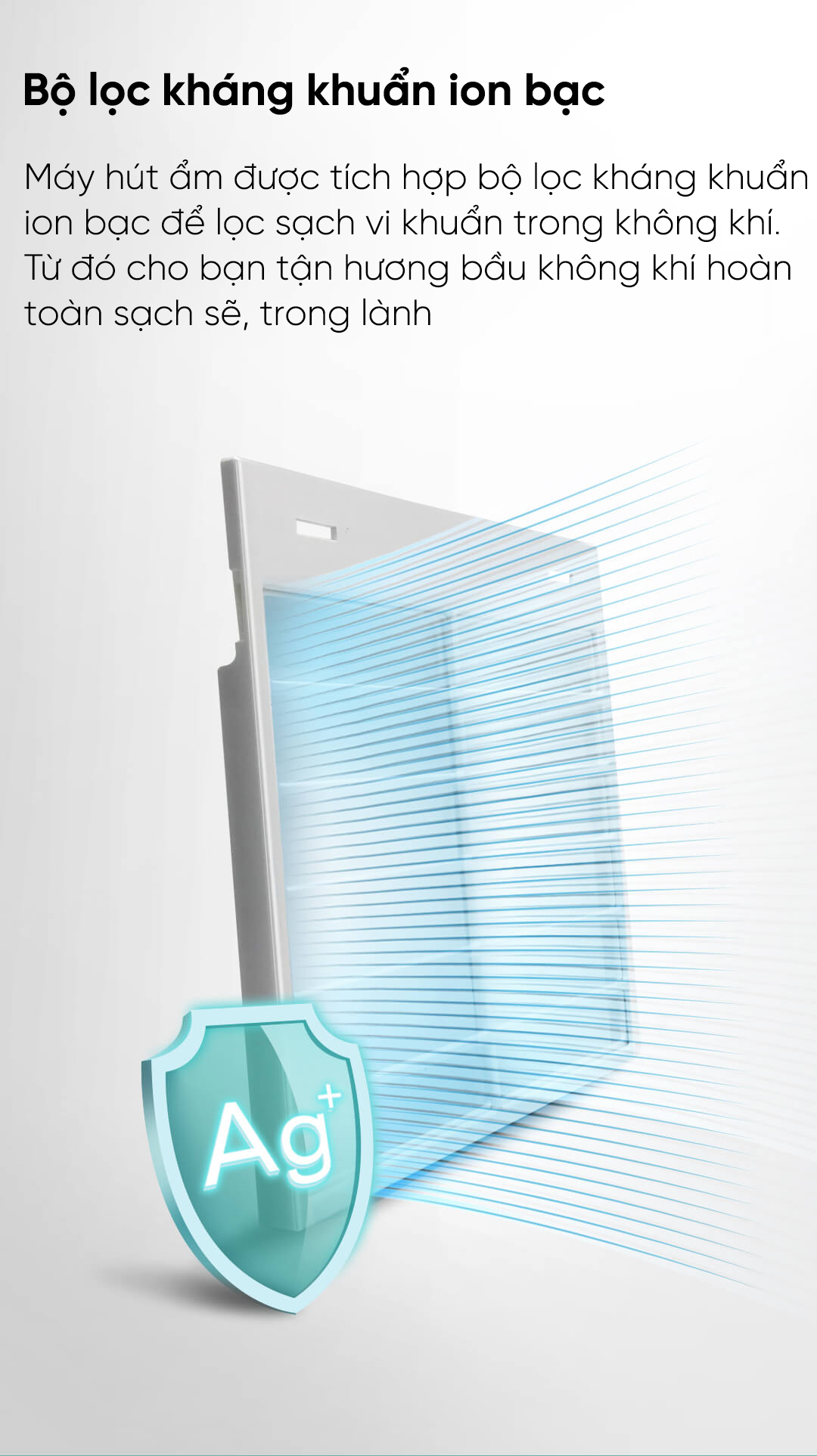 Máy hút mùi New Widetech WDH312ENW1 (12L)