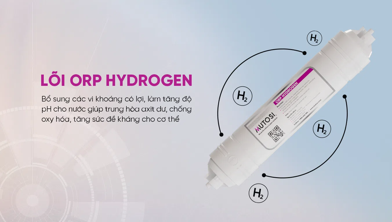 Máy lọc nước Mutosi MP-M1001