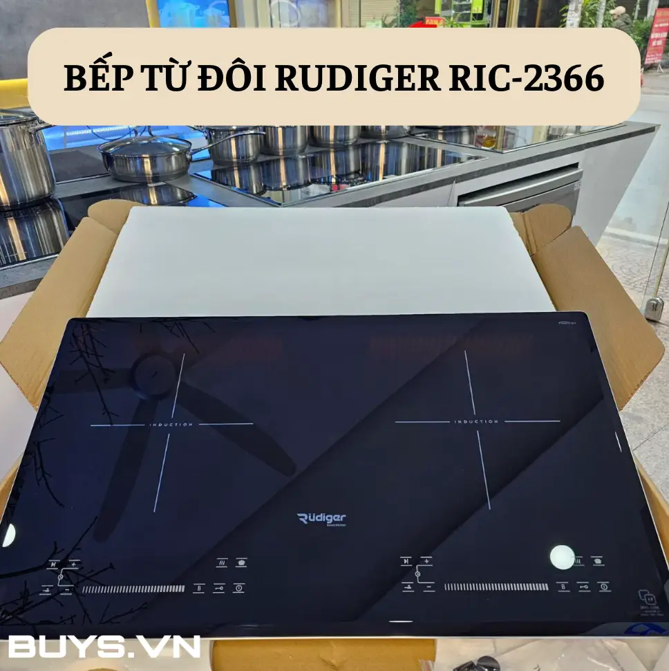 Bếp từ đôi Rudiger RIC-2366 