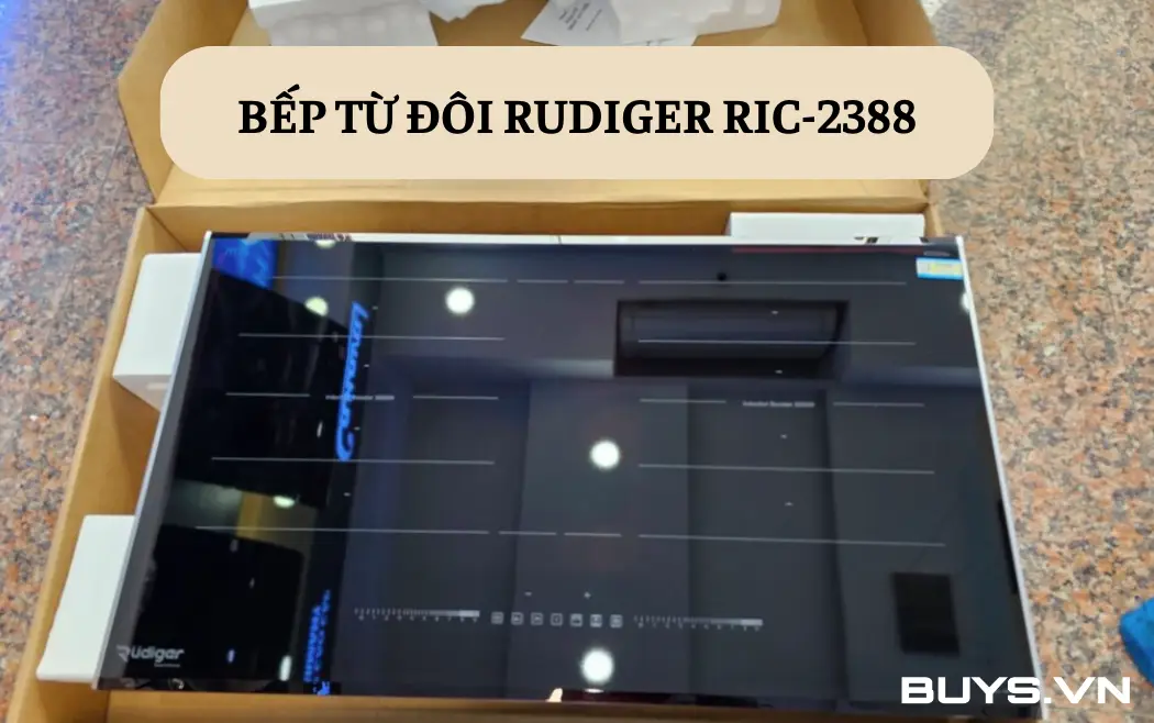 Bếp từ đôi Rudiger RIC-2388 