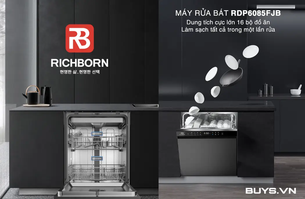Máy rửa bát Richborn RDP6085FJB