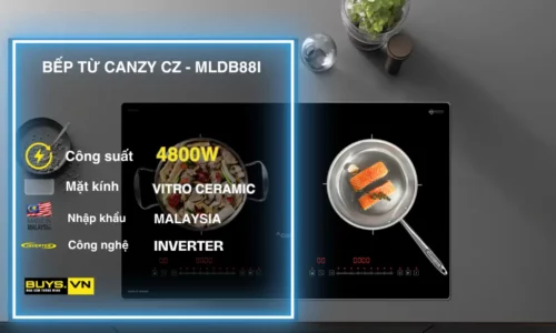 Bếp từ đôi Canzy CZ MLDB88I