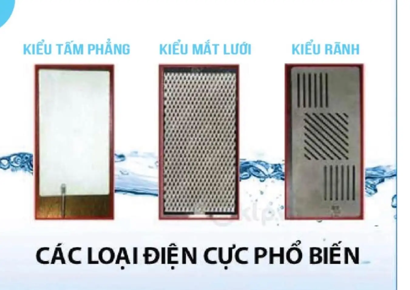 Các loại điện cực phổ biến dùng trong máy ion kiềm 