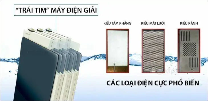 Các bản điện cực, trái tim của máy ion kiềm 