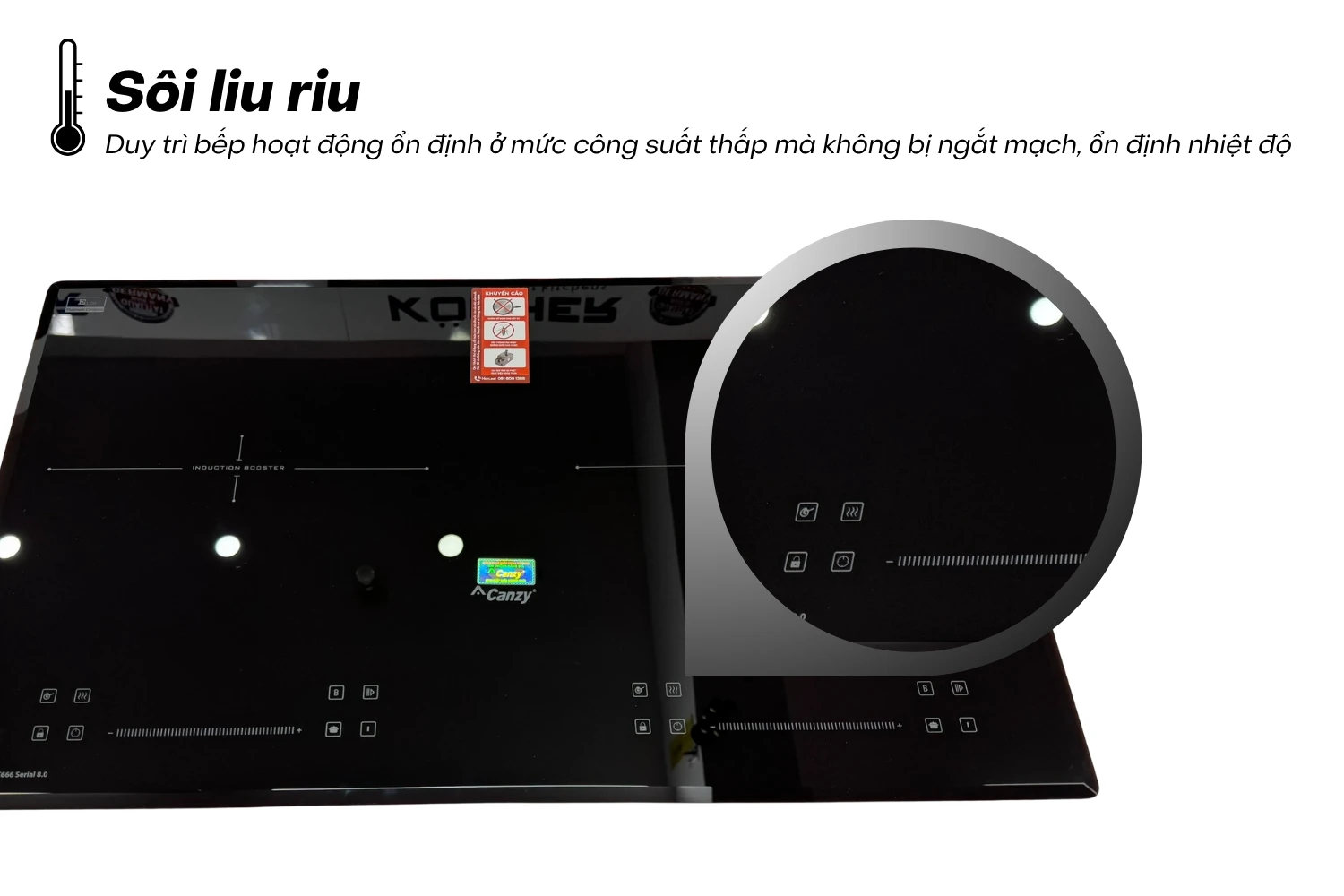 Bếp từ Canzy CZ PID369SERIAL 8.0