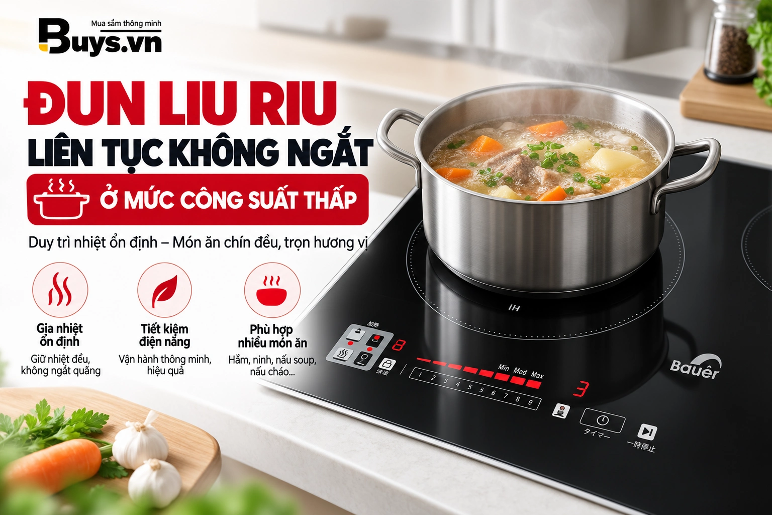 Bếp Từ BAUER BE 626JPG
