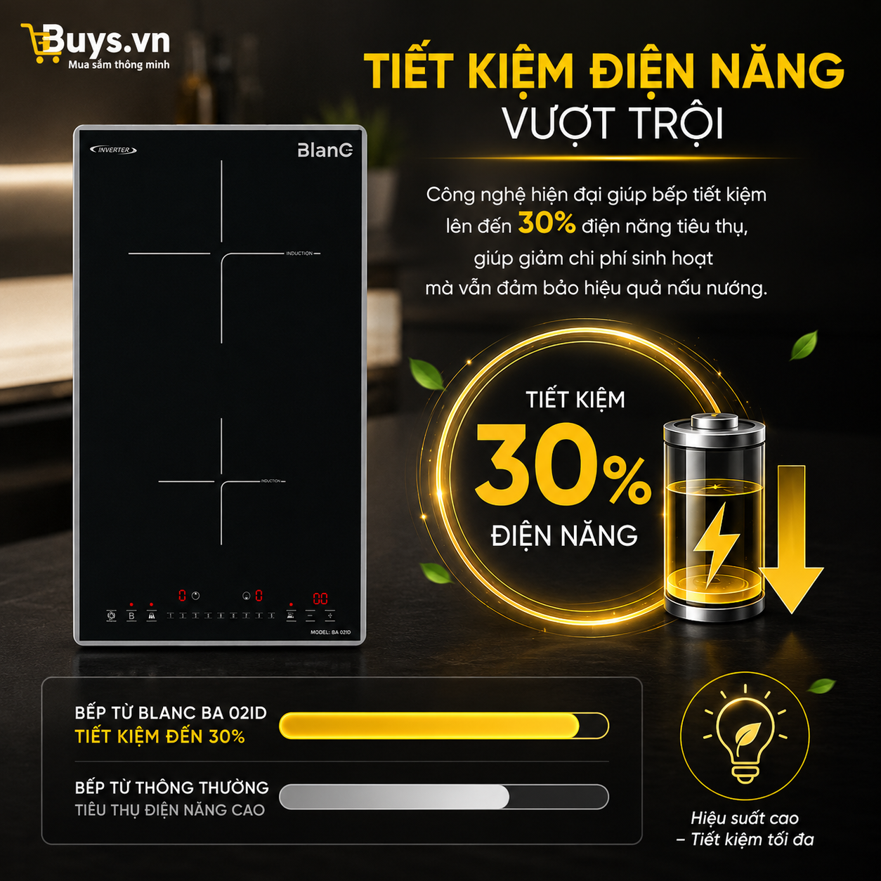 Bếp Từ Domino BLANC BA 02ID