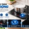 Bếp từ đôi Zemmer IZM 203 PRO
