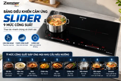 Bếp từ đôi Zemmer IZM 203 PRO