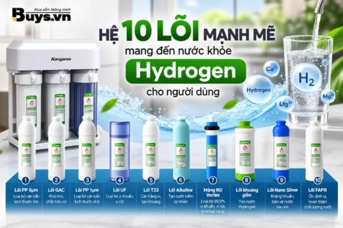 Máy lọc nước Kangaroo Hydrogen KGHP10K2